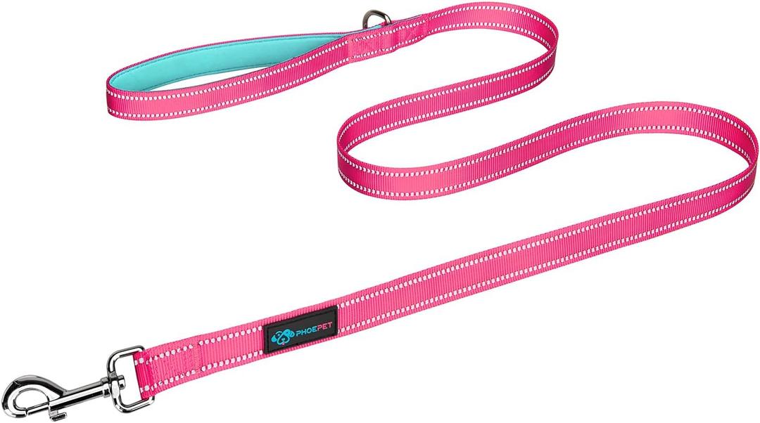 PHOEPET 5 Feet Dog Leash with Comfortable Padded Handle Easy Snap Clasp - Reflective Walking Lead for Large, Medium & Small Breed Dogs (Pink + Mint Green Base) (L(Width: 1"))
