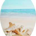 Angol Shiold Elongated Toilet Seat Molded Wood Toilet Seat with Quietly Close and Quick Release Hinges, Easy to Install also Easy to Clean (Elongated, Beach) (Elongated-18.5)