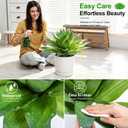 Artificial Agave Plants Set of 2, Outdoor Realistic UV Resistant Fake Plant
