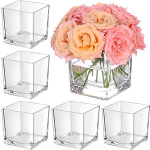 KEYWING 6 Pack Square Glass Vase 5" x 5" x 5", Clear Flower Vases for Centerpieces, Square Flower Vase Candle Holder for Wedding, Party, Home Office Decoration