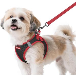 rabbitgoo Dog Harness Small Sized and Leash Set, Step-in Breathable Pet Harness, Soft Walking Reflective Puppy Vest for Small Dogs, Black & Red, (S (Chest: 15.1 - 16.5")
