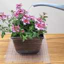 Creator's Waffle Grid 1-Pack - The Original Multi-Use Modular Grid System - Solid Bottom - Best Used for Cutting Glass, Catching Small Pieces, Contain Water, Put Under Plants, Etc. - Made in USA