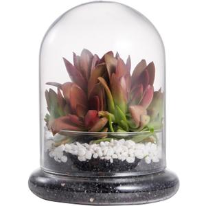 NCYP Small Glass Terrarium Cloche with Air Hole, 4.7 x 4.7 x 6.3 Inches