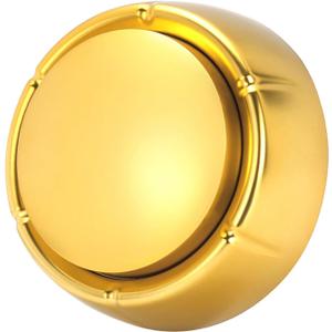 Neutral Recordable Sound Button Record Talking Button - Record & Playback Your Own Message - 30 Second Recording Button (Golden)