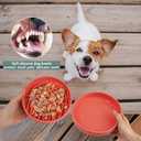 Slow Feeder Dog Bowls Set for Small Dogs & Cats, Portable Non-Slip Silicone Food & Water Bowls, Promotes Healthy Digestion, Dishwasher & Microwave Safe, 1.4 & 2 Cups, Ocean Wave