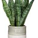 Hollyone Fake Snake Plant 12 Inch Small Artificial Snake Plant Potted with Ceramic Pot Faux Sansevieria Plant for Home Office Room Indoor Decor Housewarming Gifts