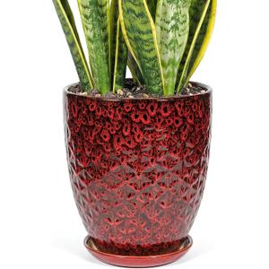 11.8 Inch Flower pots for Indoor Plants,Ceramic Planter with Saucer Drainage Leak-Proof Mesh Gardening Gloves (Diamond Red)