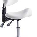 Saddle Stool Chair Rolling with Back Esthetician Chair for Nail Tech Dental Tattoo Artist Eyelash Hairdresser Hairstylist Medical Shop Ergonomic Stool Adjustable Hydraulic White, 20.4*20.4*38.78