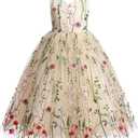 IDOPIP Embroidery Flower Girl Lace Dress for Kids Wedding Pageant Party First Communion Dresses Princess Bridesmaid Maxi Gown (6-7 Years, Apricot)