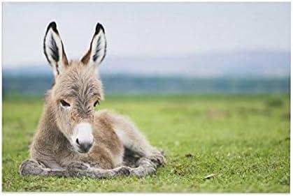 Animals Baby Donkeys Canvas Poster Bedroom Decor Sports Landscape Office Room Decor Gift,Canvas Poster Wall Art Decor Print Picture Paintings for Living Room Bedroom Decoration 08x12inch(20x30cm)
