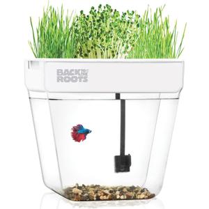 Back to the Roots Indoor Aquaponic Garden - 3 Gallon Self Watering, Mess-Free Planter and Self-Cleaning Fishtank for Herbs, Microgreens, Bamboo, Succulents, and Houseplants, support Fish Back to the Roots Indoor Aquaponic Garden - 3 Gallon Self Watering, Mess-Free Planter and Self-Cleaning Fishtank for Herbs, Microgreens, Bamboo, Succulents, and Houseplants, support Fish