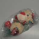 Christmas Dog Toys, Funny Squeaky Reindeer Toy with Crinkle Paper Attract Pets, Interactive Plush Chew Toys, Adorable Christmas Elk Dog Gifts for Small Medium Large Dogs (Beige)