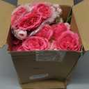 8 Bundles Artificial Peonies Flowers Boho Faux Flowers Arrangements Artificial Centerpiece Spring Bouquet Floral Wedding Decoration for Vase(Pink Series)