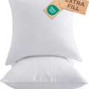 Throw Pillow Inserts 20x20 Set of 2 - Fluffy Down Alternative Fill - 10% More Fill Than Standard Loft - Plump Bounce-Back Support for Indoor & Outdoor Use - Hypoallergenic & Machine Washable - White