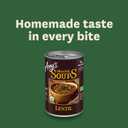 Amy's Soup, Vegan, Gluten Free, Organic Lentil, 14.5 Ounce (Pack of 12) (EXP 11/01/28)