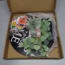 Double Sides Interchangeable St Patricks Day Welcome Sign Front Door Decor with 20 Seasonal Icons 2 in 1 Round Wood Wreaths Wooden Gifts House Outdoor Indoor Home Decorations All Seasons (Brown)