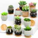 Remerry 12 Pcs Small Succulent Pots Bulk with Drainage Assorted 3.5 Inch Mini Ceramic Succulent Planters Pot with Coaster Bamboo Plant Tray Planting Pots for Home Office Garden