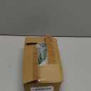 BLEUM CADE Fake Hanging Plants, 2pcs Artificial Hanging Plant, Faux Pothos Vines Hanging Plant Greenery for Wall Home Living Room Indoor Outdoor Decor (No Baskets)