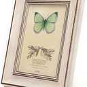 6x8 Inches Vintage Feel Rustic Picture Frame for Tabletop or Wall Hanging with Glass Front (6x8, White)