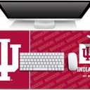 YouTheFan NCAA Indiana Hoosiers Logo Series Desk Pad