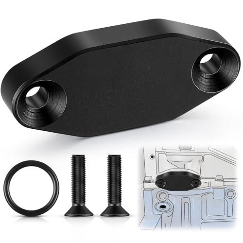 Saillong 1 Pack LS Billet Oil Cooler Block off Plate on Oil Pan LS Billet Port Plate Compatible with Gen III IV Series Engines LS3 LSX LS1 LS2 LS6 L9H LQ4 LQ9 L92 4.8L 5.3L 5.7L 6.0L 6.2L (Black)