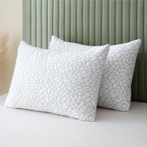 BPC Premium Rayon Derived from Bamboo Pillows Queen Size Set of 2 - Adjustable Shredded Memory Foam Pillow with Removable Cover Firm Pillow for Side Stomach and Back Sleepers, CertiPUR-US (Grey)