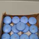 Horizon - Unscented 24 Piece Floating Candles for Parties | 2" Dripless and Smokeless Floating Candles with 5 Hours Burning Time for Centerpieces at Wedding, Pool, Home Decor | Blue