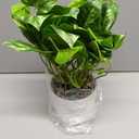Artificial Plants Faux Pothos with Plastic White Pot Artificial Potted Plant for Home Office Bedroom Indoor Outdoor Decor 1 Pack(Light Green)