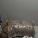 Electric Heated Blanket for Girls & Women, Soft & Luxurious, Faux Rabbit Fur Heating Throw Blankets, 6 Heat Settings, Overheat Protection, Quick Heating, Memory Function, Gift-Ready Design, 50"x60" (Light Taupe)