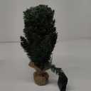 SENNOUL Small Christmas Tree with Lights, 2ft Pre Lit Artificial Mini Xmas Tree for Tabletop, Outdoor, Bedroom, Office Decorations, Includes 50 Led Warm Lights, 73 PVC Branch Tips, Green（Battery Operated）