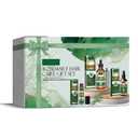 Rosemary Hair Care Gift Set Growth Oil Kit with Spray & RollerHair Repair for Strengthen & Nourish - Natural Treatment with Jojoba Oil for Damaged Hair Care Suitable for Women and Me3.38 Fl Oz