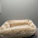 Lesure Fluffy Dog Beds for Medium Dogs - Rectangle Orthopedic Calming Pet Sofa,Plush Bubble Bolster Pet Bed with Removable Washable Cover and Nonskid Bottom,30x24x8inches,Beige