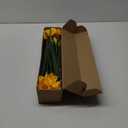 Hananona 10 Pcs Artificial Daffodils Flowers Narcissus Faux Spring Flowers Fake Silk Daffodil Flower Arrangement for Indoor Outdoor Home Wedding Decor (10, Yellow)