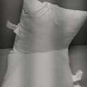 Amazon Basics Square Hypoallergenic Pillow Insert, Sofa Bed Couch Decorative Stuffer, 20", 2 Pack (20 x 20 inches)