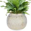 Ceramic Plant Pots for Plants Indoor 6.1 Inch Round Gold and White Flower Pot Gilded Decorative Planter with Drainage Hole and Saucer Modern Ceramic Pot for Succulents Orchids Cactus Herbs Home Decor, Medium