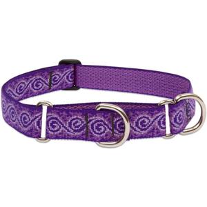 LupinePet Originals 1" Jelly Roll 15-22" Martingale Collar for Medium and Larger Dogs