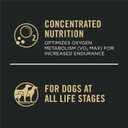 Purina Pro Plan High Protein Dog Food, Sport 30/20 Salmon and Rice Dog Food Dry Formula - 33 lb. Bag (EXP 04/15/27)