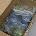 Zhehao 16 Pcs Acrylic Vintage Wine Glasses 12 oz Embossed Pattern Colored Wine Glasses Shatterproof Reusable Drinkware Set Champagne Plastic Goblets Clear Drinking Cups for Wedding Party Bar 5 Colors