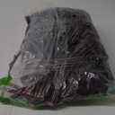 Plant Ivy  Burgundy Decorative for Wall Design Garden Decoration 6 Pack Leaves