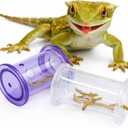 2Pcs Bearded Dragon Enrichment Tools, Bearded Dragon Accessories, Transparent Interactive Feeding Accessories for Reptile, for Beards Dragons and Other Small Reptile