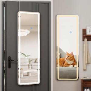 Koonmi Full Length Mirror Door Hanging with LED Lights 48"x16"
