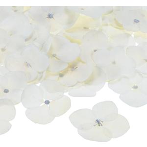 60-Pack Dried Pressed Flowers for Resin, Real Natural Bulk Dry Floral for Crafts/DIY Jewelry/Soap Making/Scrapbooking/Candle/Epoxy Resin Supplies [White]
