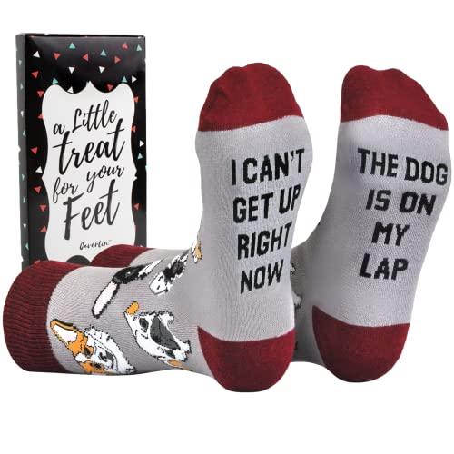 Cavertin Women's Novelty Socks with Gift Box - Dog Socks for Women - Dog Lover Gifts (Dog Lover) Pack of 2