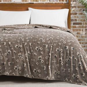Lucky Brand Daisy Beige Floral 90"X90" Cozy Plush Blanket - Premium Microfiber Throw for Luxurious Comfort and Style Full/Queen Size