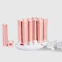 CALISTA Ion Hot Rollers for Long Hair | Hair Roller Clips Included | Heats to 230F | Dual Voltage | Add Hands-Free Curls, Waves, and Volume (Pink Sands, Long - 12)