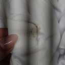 Spandex Oxford Skirt Chair Cover Set Suitable For Banquets, Comfortable Fit For 85 105 Cm Chairs(white 1pcs)