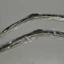 MOTIUM OEM QUALITY Premium All-Season Windshield Wiper Blades (22"+22" pair for front windshield)