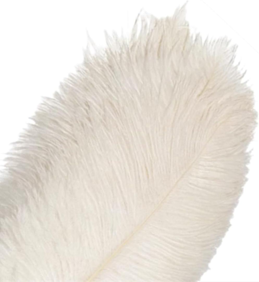 10Pcs Bulk Natural White Ostrich Feathers,12-14 inch (30-35cm) Beautiful Long Feather for Crafts,Wedding Centerpieces Party Home Decoration,Dress and Christmas DIY (White, 12-14in)