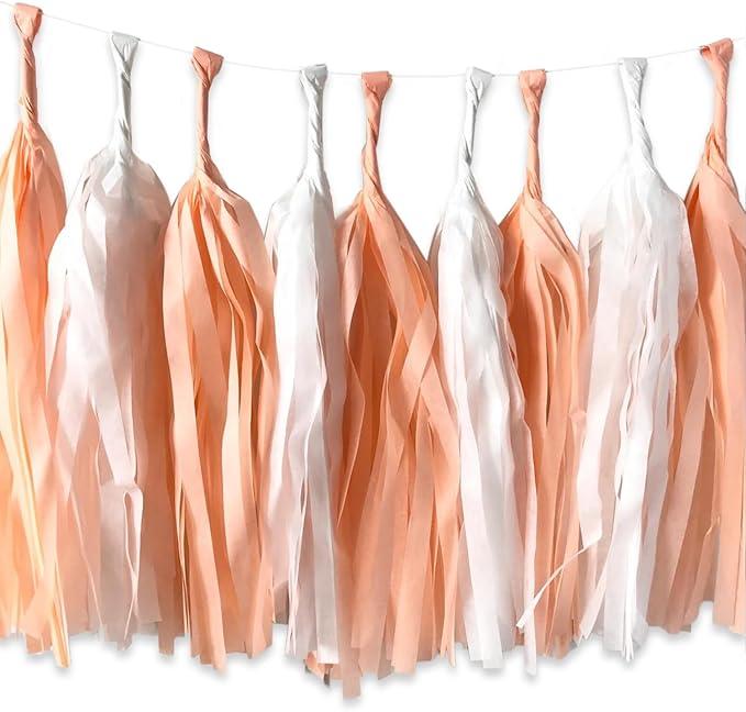 ALLHEARTDESIRES , Peach Tassel Garland, One Sweet Peach Birthday Party Decor, Peach Baby Shower, Peach First Birthday Backdrop, Peach Bridal Shower Wedding Hanging Décor Supplies,3 Pieces