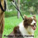 Heavy Duty Dog Leash, 4-6FT Shock Absorbing Dog Leashes with Traffic Handle and Comfortable Padded Handles, Advanced Easy Metal Clip, No Pull Reflective Leash for Medium Large Dogs that Pull (Black)